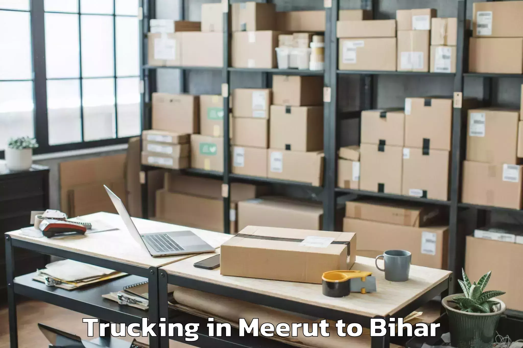 Affordable Meerut to Panhesa Trucking